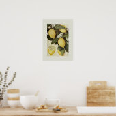 Poster Citrons (Cuisine)
