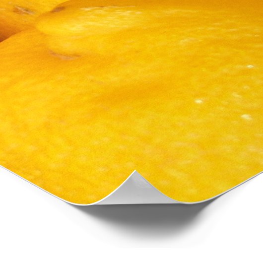 Poster Citrons frais (Coin)