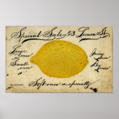 Poster Citrons spéciaux -1897 (Devant)
