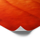 Poster Citrouille (Coin)