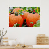 Poster Citrouille (Cuisine)