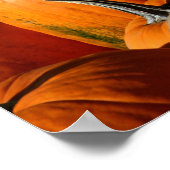 Poster citrouille (Coin)