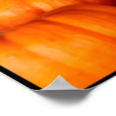 Poster Citrouille (Coin)