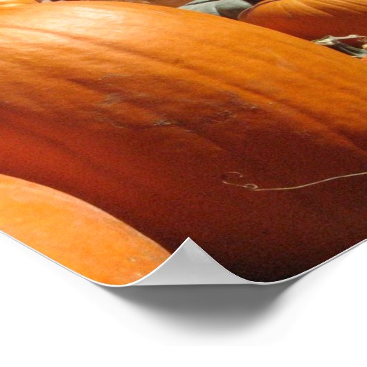 Poster Citrouille (Coin)