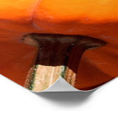 Poster Citrouille (Coin)