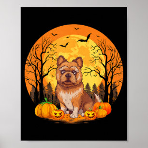 Poster Citrouille avec costume drôle d'Halloween Bruxelle