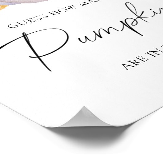 Poster Citrouille blanc - devinez combien de citrouilles (Coin)