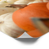 Poster Citrouille d'automne (Coin)