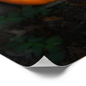 Poster Citrouille d'Halloween (Coin)