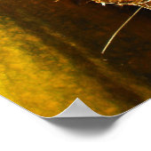 Poster Citrouille d'horreur (Coin)
