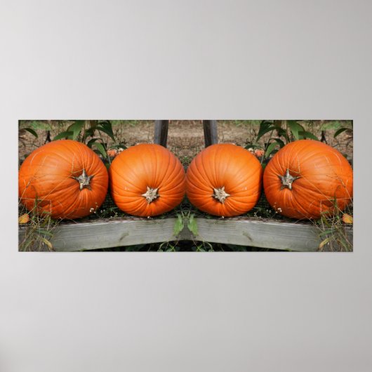 Poster Citrouille Pair Fall Mirror Abstrait (Devant)
