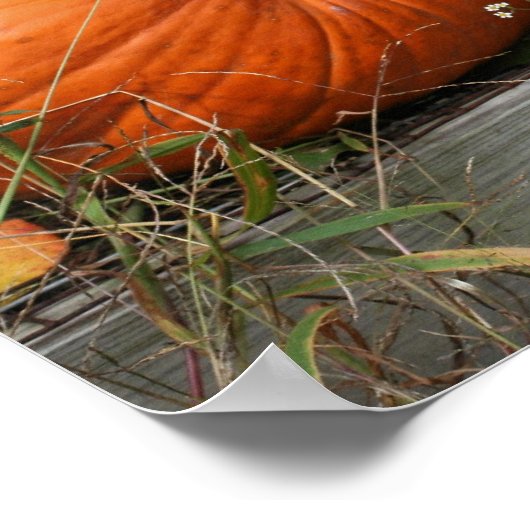 Poster Citrouille Pair Pays Automne (Coin)