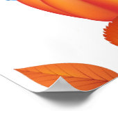 Poster Citrouille Patch Farmhouse Organic Harvest Couleur (Coin)