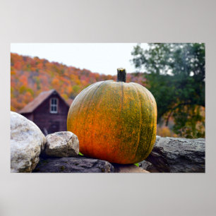 Poster Citrouille sur un mur de pierre du Vermont en auto