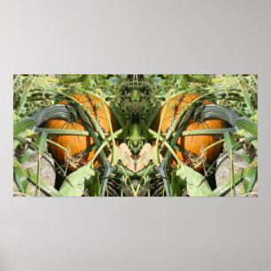 Poster Citrouille sur Vine Automne miroir Abstrait