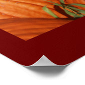 POSTER CITROUILLES ! (Coin)