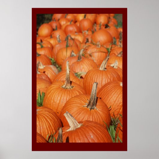 POSTER CITROUILLES ! (Devant)