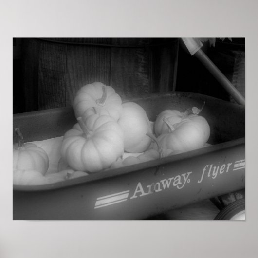 Poster Citrouilles Automne En Wagon Noir Blanc Photo Impr (Devant)