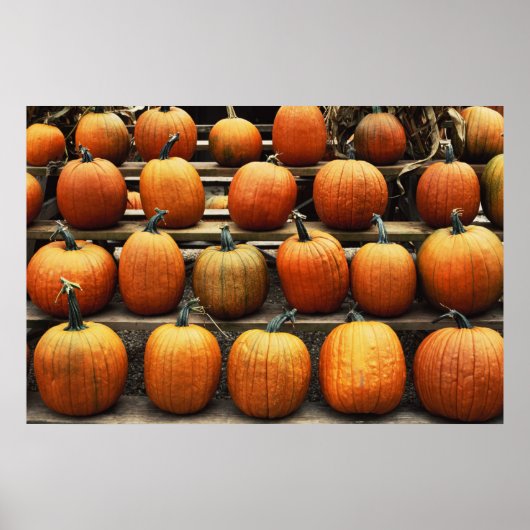 Poster Citrouilles d'automne (Devant)