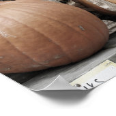 Poster Citrouilles D'Automne Et Stalks De Maïs (Coin)