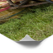 Poster Citrouilles en vieux wagon (Coin)