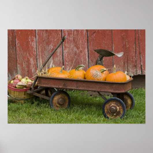 Poster Citrouilles en vieux wagon (Devant)