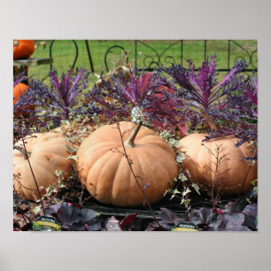 Poster Citrouilles Et Automne Plante Farm Stand
