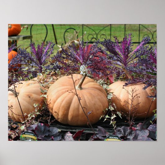 Poster Citrouilles Et Plantes Automne (Devant)