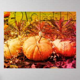 Poster Citrouilles Et Plantes D'Automne