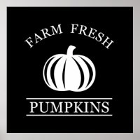 Citrouilles frais de ferme automne