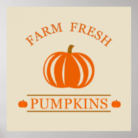 Citrouilles frais de ferme automne