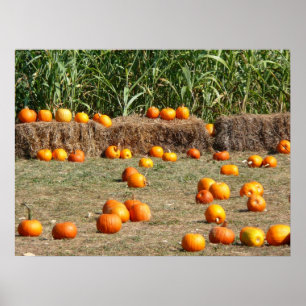 Poster Citrouilles, maïs et foin Photographie de la récol