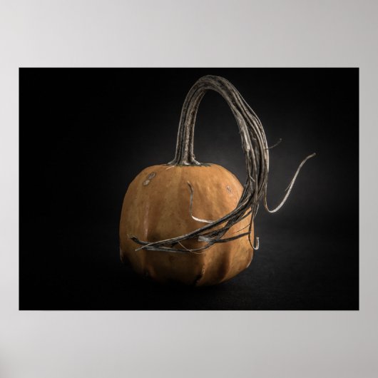 Poster Citrouilles N° 14 Version couleur (Devant)