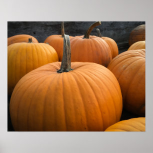 Poster Citrouilles oranges de la récolte d'automne de cha