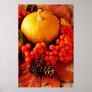 Poster Citrouilles récoltés avec feuilles d'automne 2