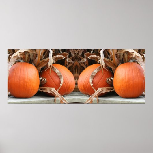 Poster Citrouilles Tiges de Maïs Séchées Miroir Abstrait (Devant)