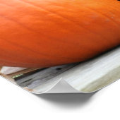 Poster Citrouilles Tiges de Maïs Séchées Miroir Abstrait (Coin)
