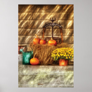 Poster Citrouilles - Une nature morte avec des citrouille