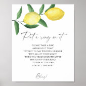 Poster Citrus - jeu de l'anneau de printemps (Devant)