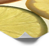 Poster Citrus Slices (Coin)