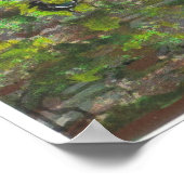 Poster City Park Bridge, Nouvelle-Orléans (Coin)