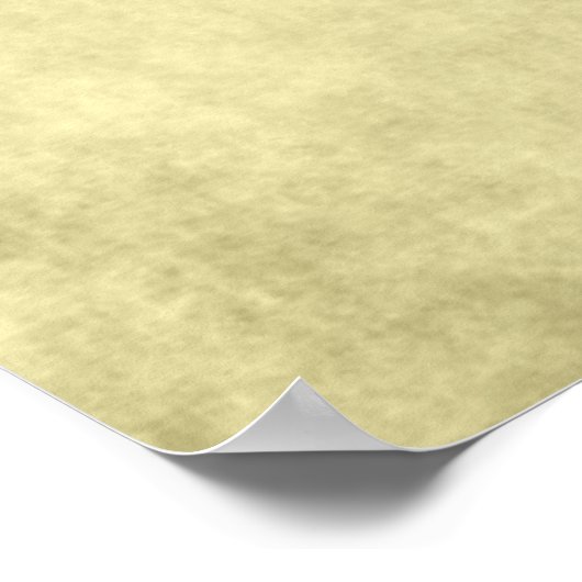 Poster Cityscape de l'Illinois (Coin)