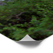 Poster Cityscape From Summit Of signal Hill At Dusk (Coin)