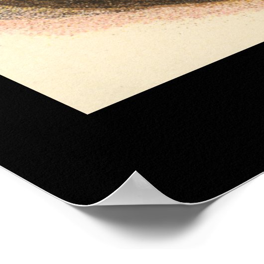 Poster Civet africain (Coin)