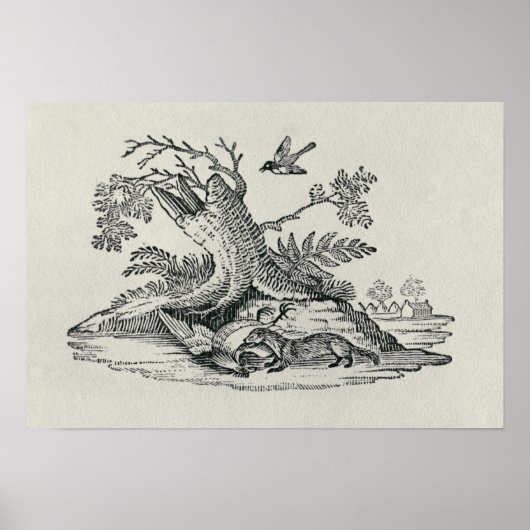 Poster Civet avec Cockerel de 'Histoire des Quadrupeds' (Devant)