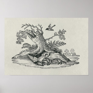 Poster Civette avec le jeune coq de la 'histoire des