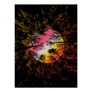 Poster Clair de lune à travers une forêt dense – Surréali