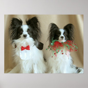 Poster CLAIRE DE Nab ZACH