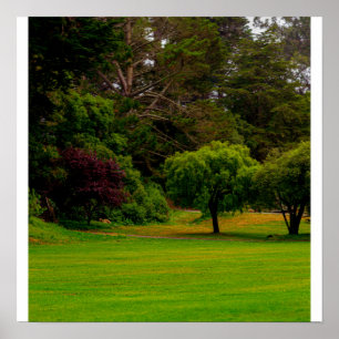 Poster Clairière verte