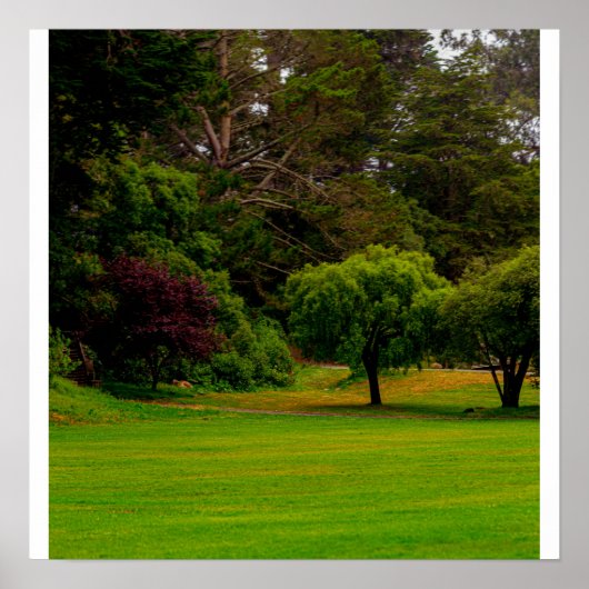 Poster Clairière verte (Devant)